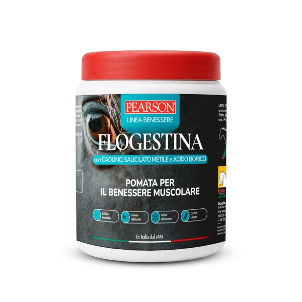 Flogestin Pearson pommade musculaire gr. 1500